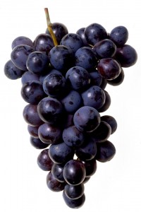 black-grape-bunch-1330142-639x960