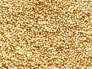 popped-quinoa-texture